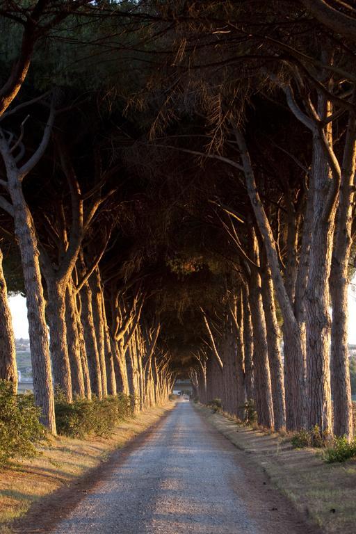 Agriturismo Pantano Borghese Monte Compatri Εξωτερικό φωτογραφία